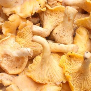 Пачи крак 0,500кг.